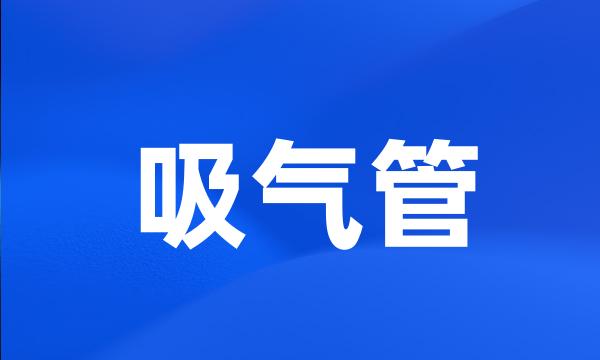 吸气管