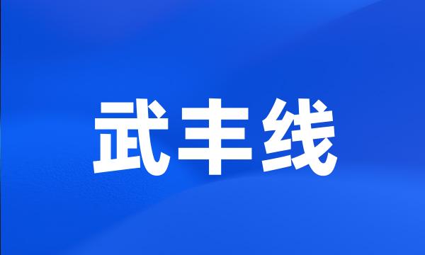 武丰线