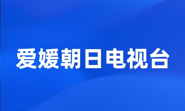 爱媛朝日电视台