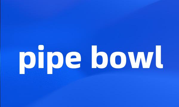 pipe bowl