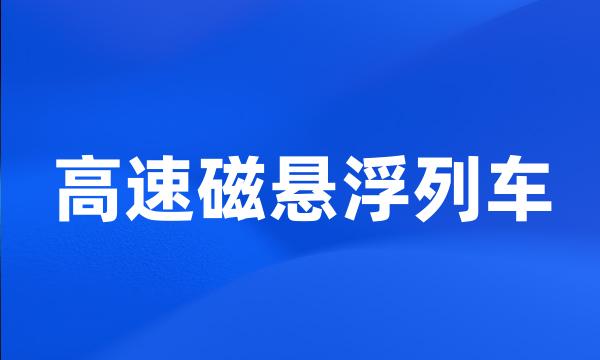 高速磁悬浮列车