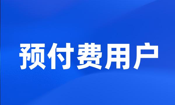 预付费用户