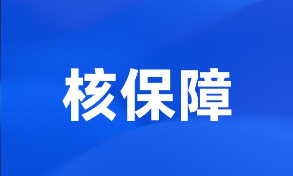 核保障