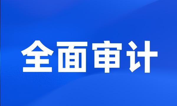 全面审计