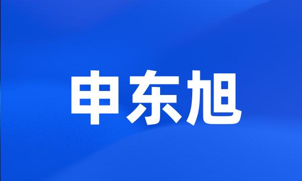 申东旭