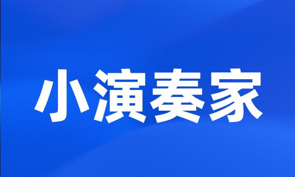 小演奏家