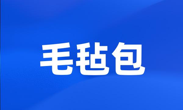 毛毡包