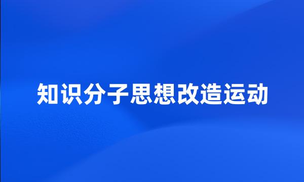 知识分子思想改造运动