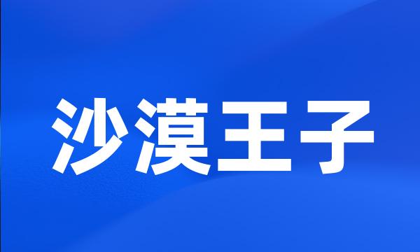 沙漠王子