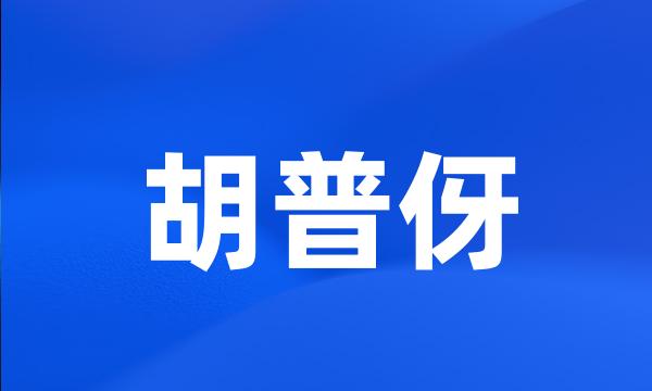 胡普伢