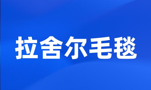 拉舍尔毛毯