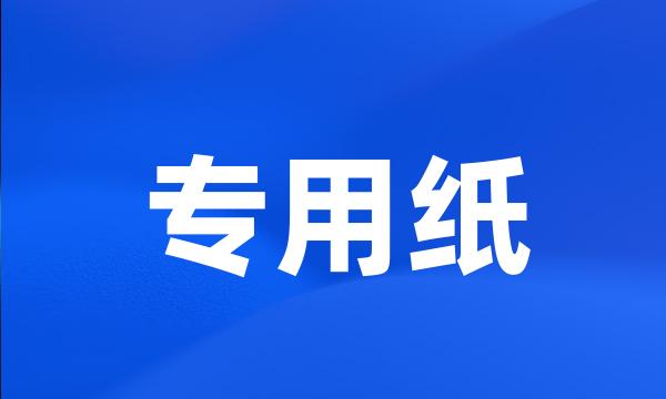 专用纸