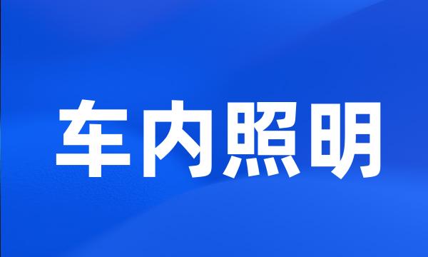 车内照明