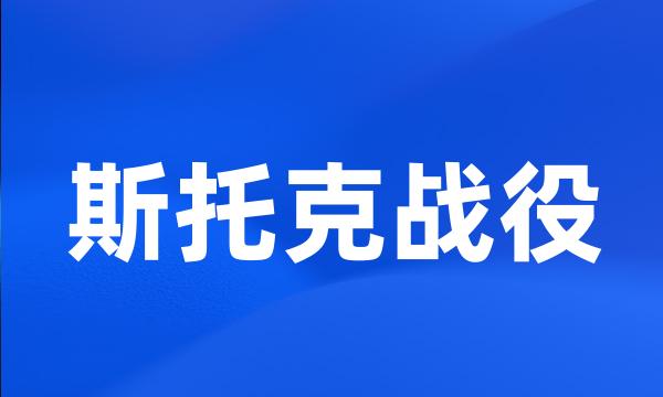 斯托克战役