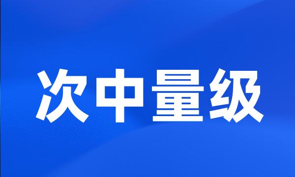 次中量级