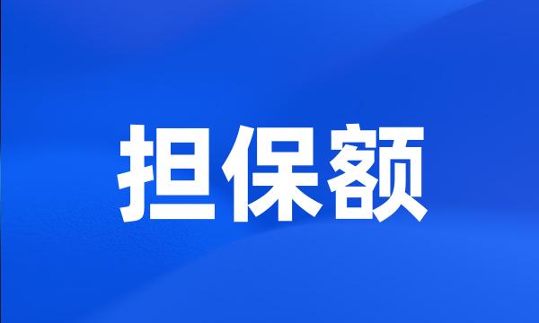 担保额