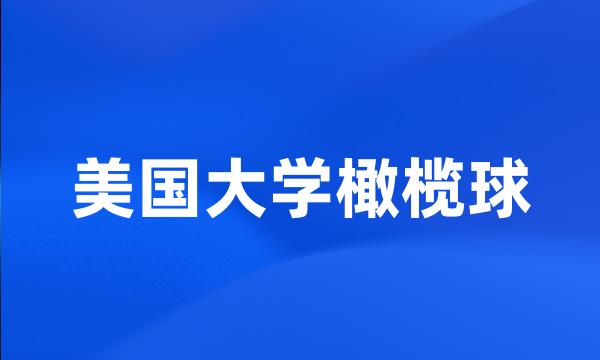 美国大学橄榄球