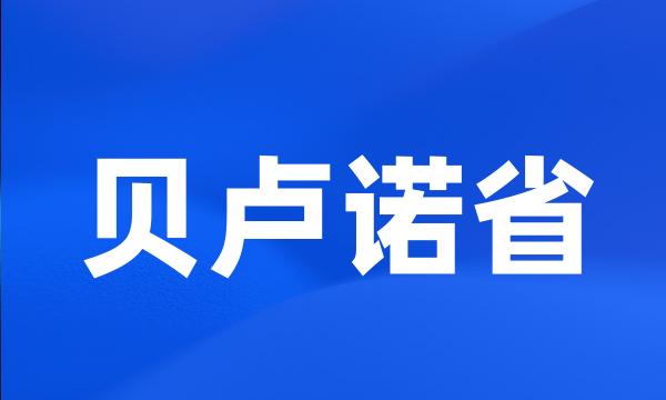 贝卢诺省