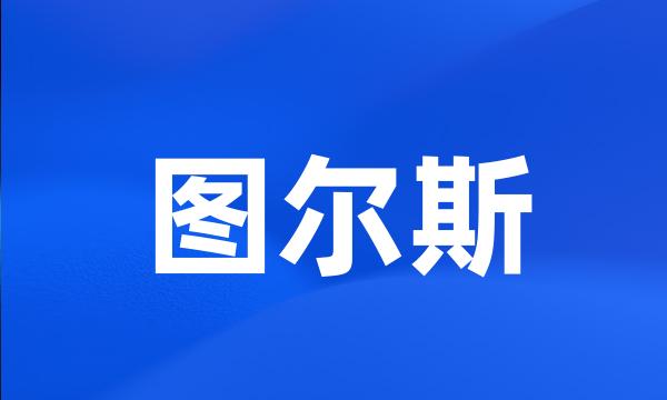 图尔斯