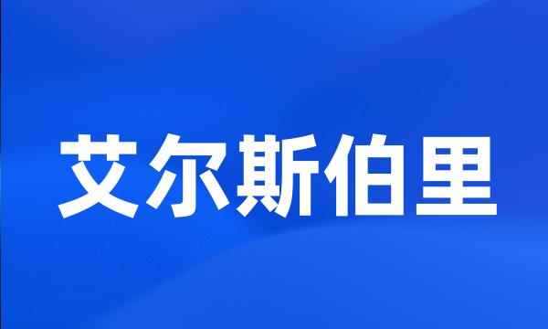 艾尔斯伯里