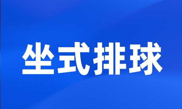 坐式排球