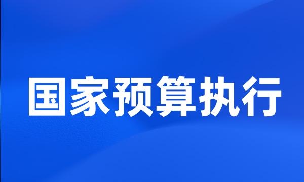 国家预算执行