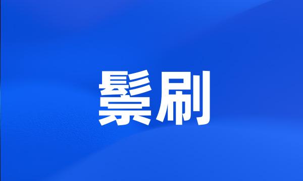 鬃刷