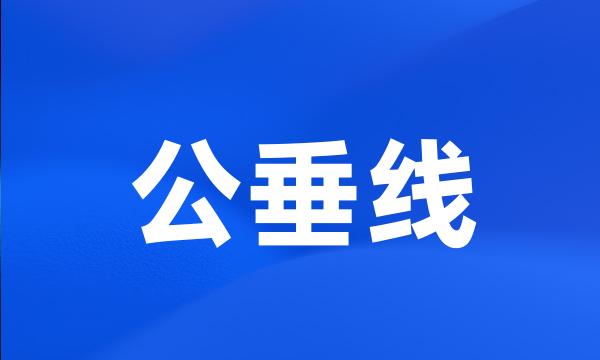 公垂线