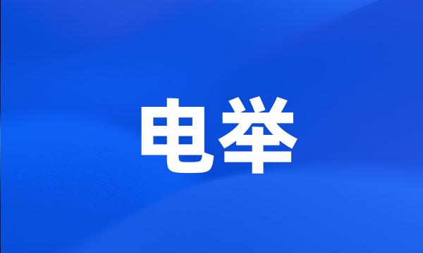 电举