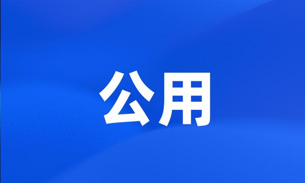 公用