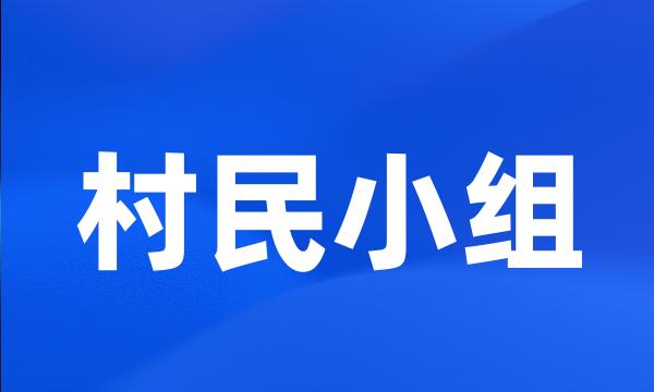 村民小组