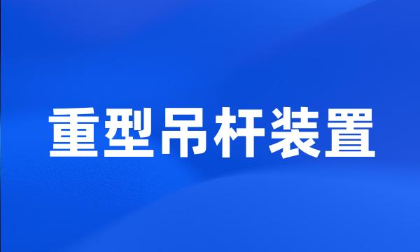 重型吊杆装置