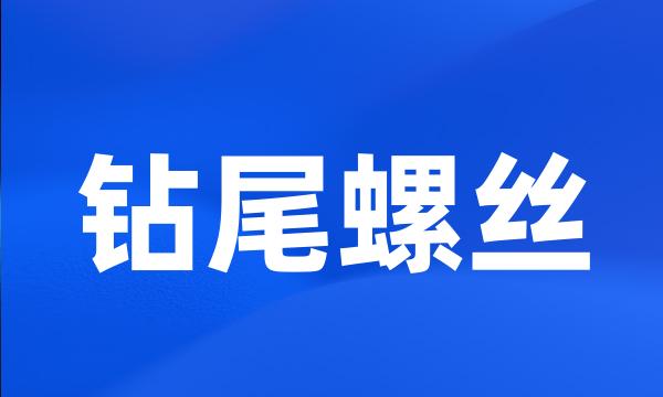 钻尾螺丝