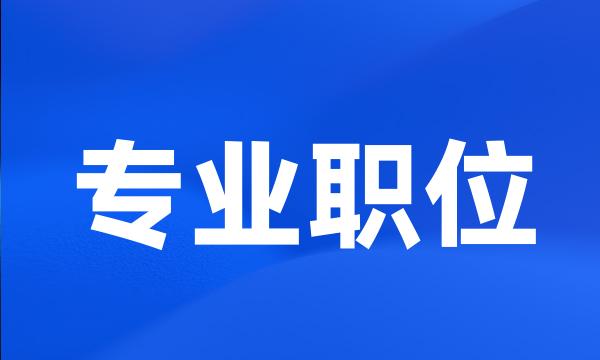 专业职位