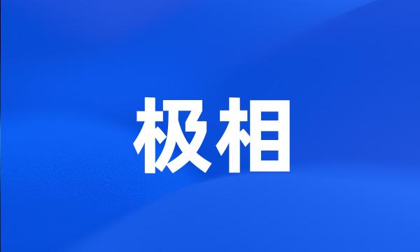 极相