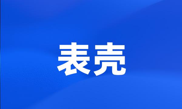 表壳