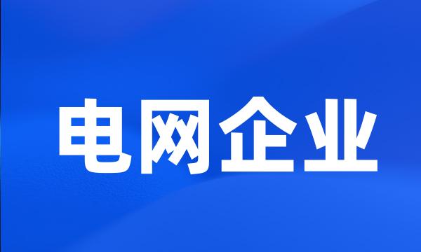 电网企业