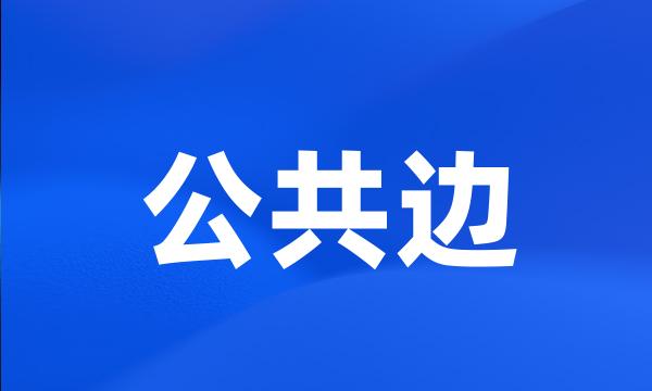 公共边