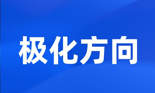 极化方向