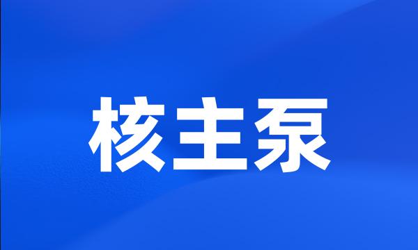 核主泵