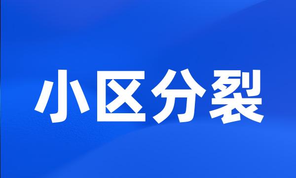 小区分裂