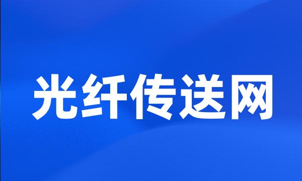 光纤传送网