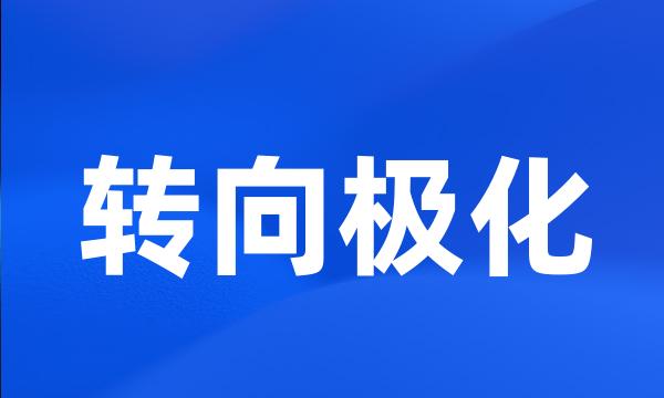 转向极化