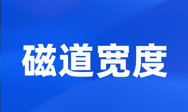 磁道宽度