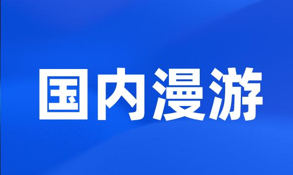 国内漫游