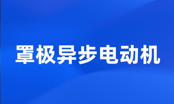 罩极异步电动机