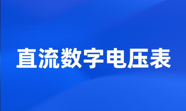 直流数字电压表