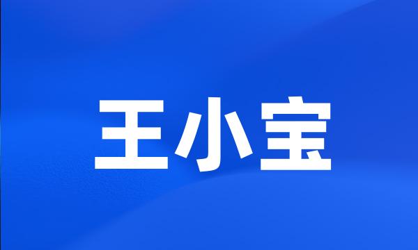 王小宝