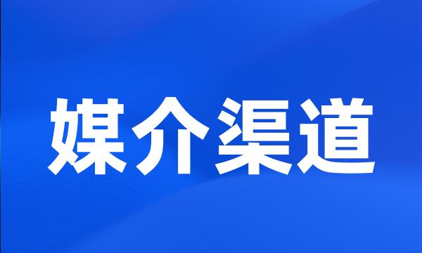 媒介渠道