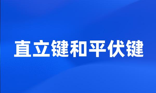 直立键和平伏键